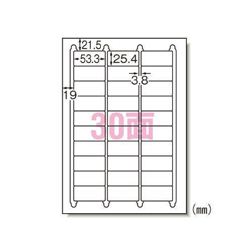 エーワン(A-one) ラベルシール プリンタ兼用 A4 30面 入数：1パック(100入) 28455(09070)