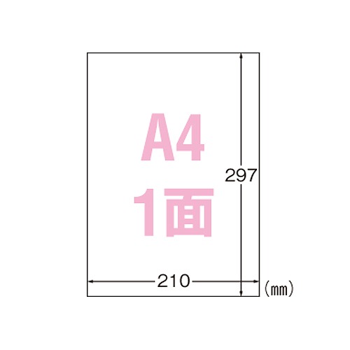 (A-one) ǤȤ륵٥륷 졼ץ A4 Ρå  1ѥå(10) 31031(52373)