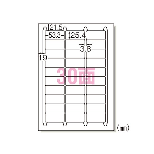 (A-one) ٥륷 졼ץ A4 30 1ѥå(20) 31145(69200)