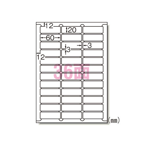 (A-one) ٥륷 졼ץ A4 36 ; 66236(08993)