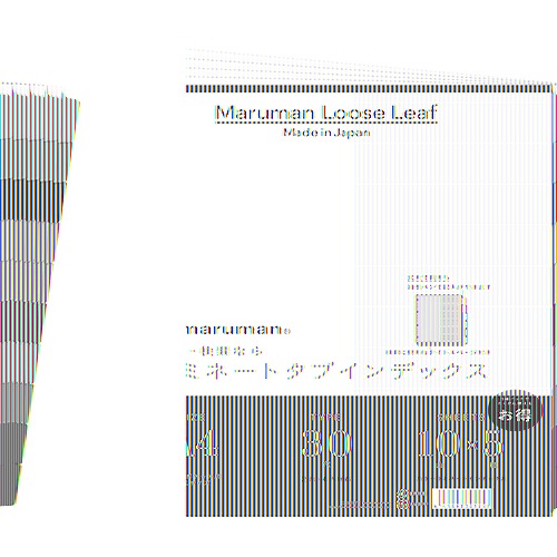 ޥޥ(maruman) ߥ͡ȥ ǥå A4 ķ  30 10 LT3010F(10329)