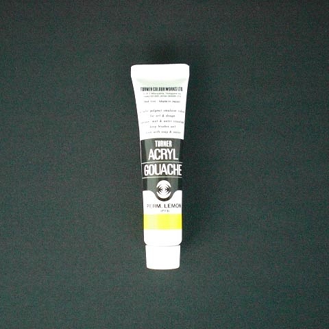 ʡ(Turner Color) 륬å A ѡޥͥȥ 11ml 10 AG11(19852)