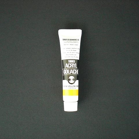 ʡ(Turner Color) 륬å A ѡޥͥȥD 11ml 12 AG11(19854)