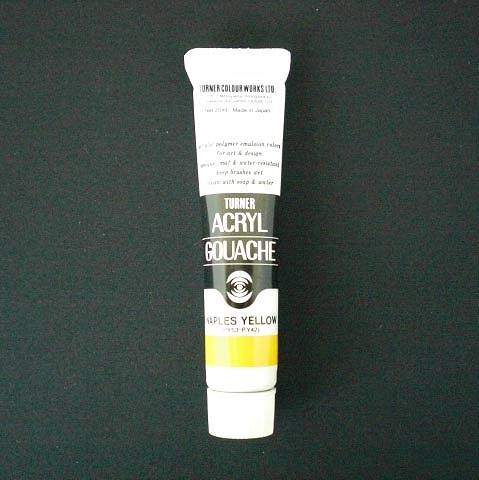 ʡ(Turner Color) 륬å A ͡ץ륹 20ml 31 AGA20(39388)