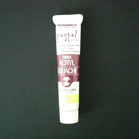 ʡ(Turner Color) 륬å A ѥƥ饤 20ml 175 AGA20(39437)