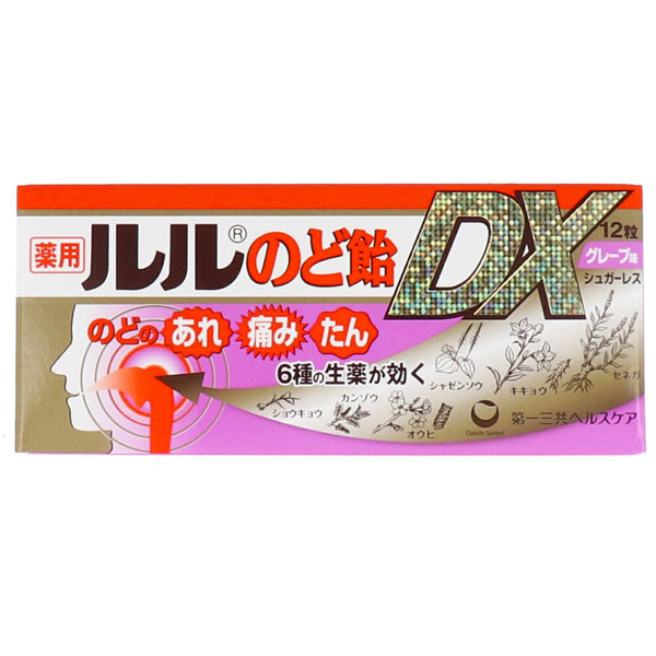 컰إ륹  ΤɰDX 졼̣ 12γ