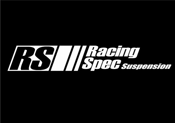 D-MAX RACING SPECƥå ۥ磻 ʸ 31mm200mm DMZA2109