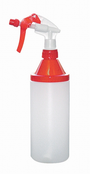 ץ쥤䡼  800cc 0561550