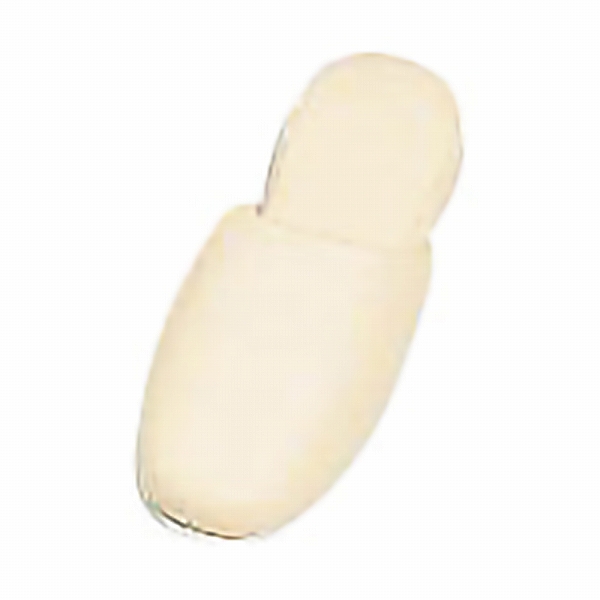 ѥƥ륽եȥץåȥå ܥ꡼ 26cm No.60(040245-004)