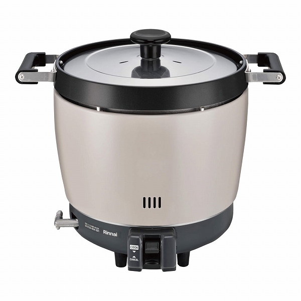 ʥ(Rinnai) Ӵ 2 LP ե RR-200CF(DSIQ301)