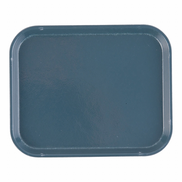 CAMBRO(֥) ȥ졼 졼ȥ֥롼 FRP 810(EKM0119)