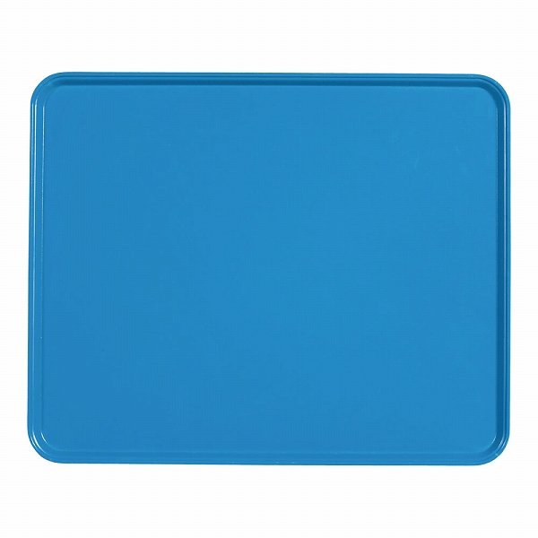 CAMBRO(֥) ȥ졼 ۥ饤֥롼 FRP 2025(EKM018HB)