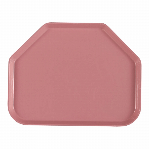 CAMBRO(֥) ȥڥɥȥ졼 ֥å FRP 1418TR(ETL012BR)