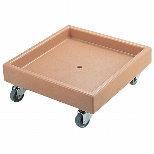CAMBRO(֥) 饹åɡ꡼ ҡ١ CD2020(IGL6701)