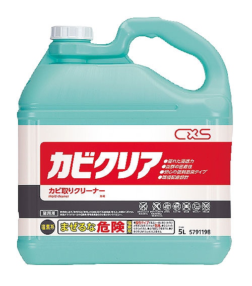 Х(CXS) ӥꥢ 5L ѥץ졼ա 5791198(JKB0801)