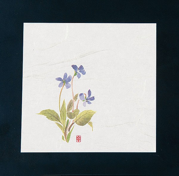 ƥå(artec)  ˥塼͵ ߤ 12cm 1å(100) NS-16(QKIF501)