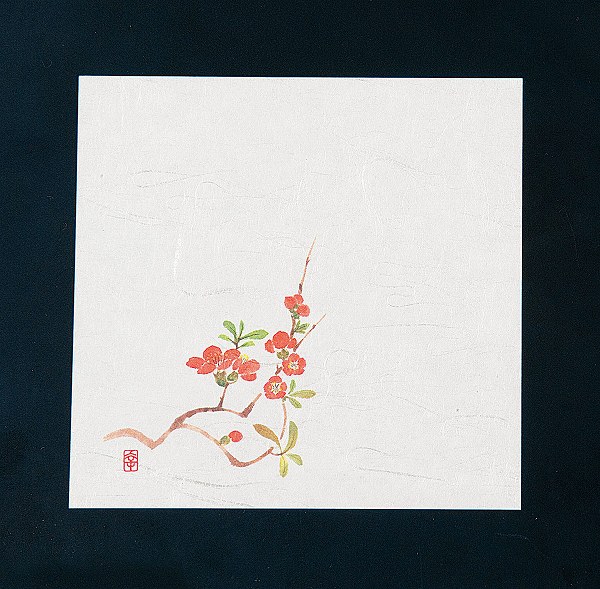 ƥå(artec)  ˥塼͵ ܤ 12cm 1å(100) NS-17(QKIF601)