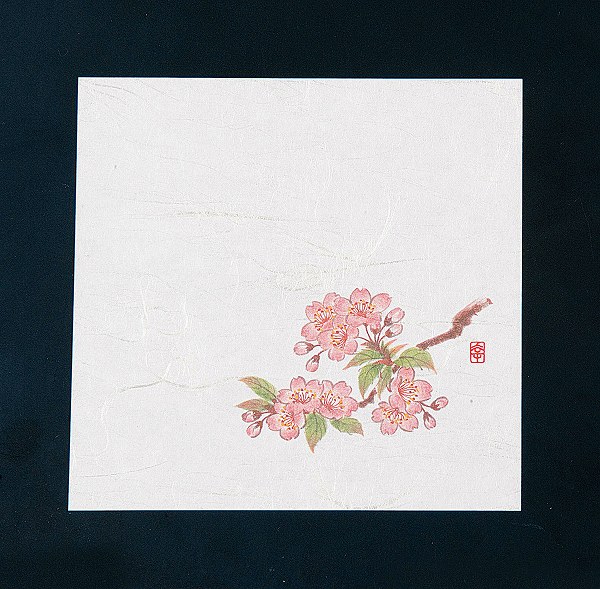 ƥå(artec)  ˥塼͵  12cm 1å(100) NS-18(QKIF701)