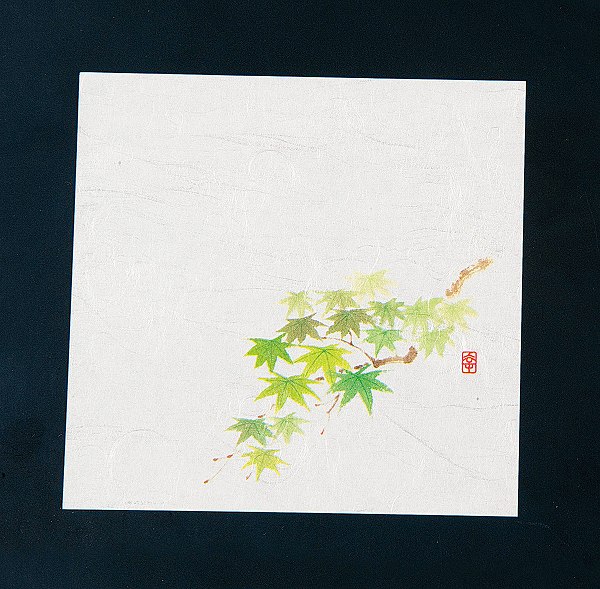 ƥå(artec)  ˥塼͵ Фߤ 12cm 1å(100) NS-19(QKIF801)