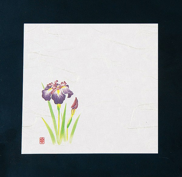 ƥå(artec)  ˥塼͵  12cm 1å(100) NS-20(QKIF901)