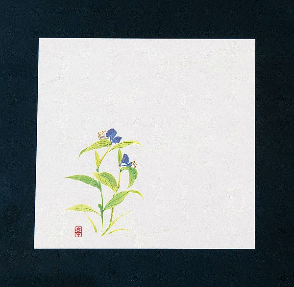 ƥå(artec)  ˥塼͵ Ĥ 12cm 1å(100) NS-21(QKIG001)