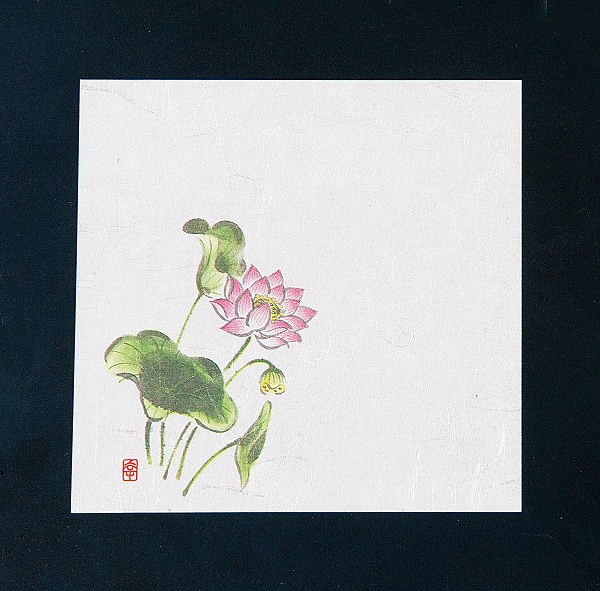ƥå(artec)  ˥塼͵ Ϥ(ˡ) 12cm 1å(100) NS-27(QKIG601)