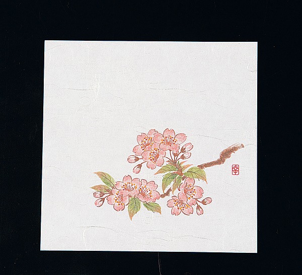 ƥå(artec)  ˥塼͵  15cm 1å(100) NS-6(QKIH801)