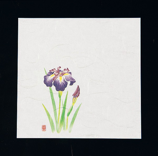 ƥå(artec)  ˥塼͵  15cm 1å(100) NS-7(QKIH901)