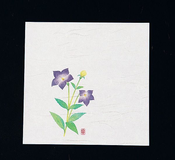 ƥå(artec)  ˥塼͵ 礦 15cm 1å(100) NS-10(QKIJ201)