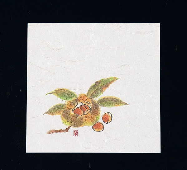 ƥå(artec)  ˥塼͵  15cm 1å(100) NS-13(QKIJ501)