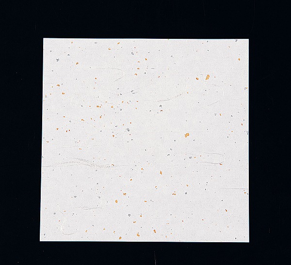 ƥå(artec)  ˥塼͵  15cm 1å(100) NS-K15(QKIJ901)