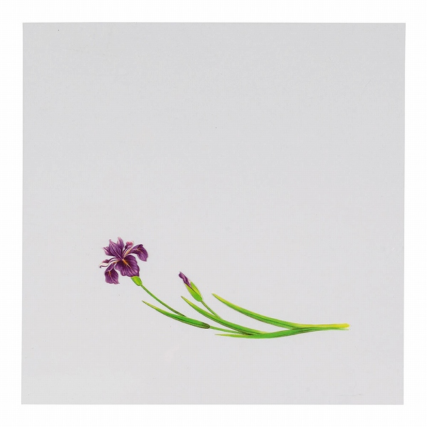 ƥå(artec) OPꥢ͵  15cm 1å(200) OS-15-7(QKL072)