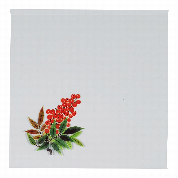 ƥå(artec) OPꥢ͵ ŷ 15cm 1å(200) OS-15-4(QKL142)