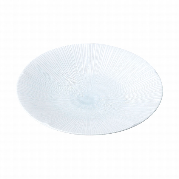  ݻ 22cm  MJ118-313(RKY4601)