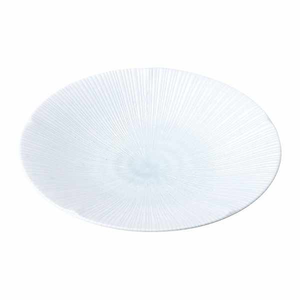  ݻ 24.5cm  MJ118-314(RKY4602)