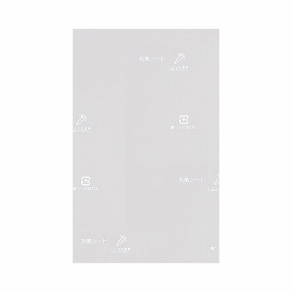 Ʋ 掠ɹݥ Ʃ 160100mm 1å(100) XWS1002