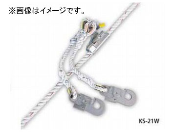 ƣŹ/FUJII DENKO ѥå ں KS21-1W