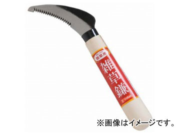 E-Value  EG-120 JAN4977292799454