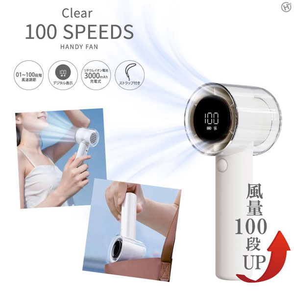 HIRO ꥢ100ʳϥǥե վѥͥդ 100ʳĴ HED-5710