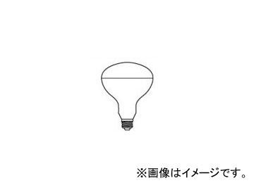 ŵ ѥ 100W  110V RS110V90WH