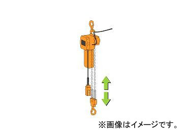 ȡ/KITO ե륳 ñΡ 3m 1®ɸ®250kg EFL003S