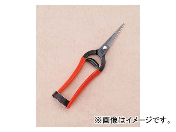  ϩ ʪ  K-7 12
