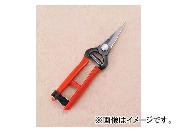  ϩ ʪ  K-1