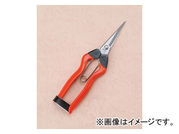  ϩ ƥ쥹Ŧ K-9 12