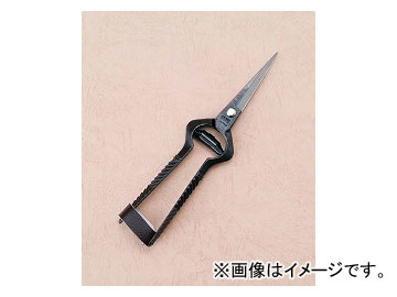  ϩ ʪ  K-5