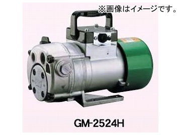 /KOSHIN 󥸥ޥ 20mm GM-2524H