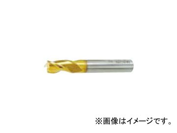 ʥ/NACHI  G ɥɥߥ 3 13mm 3GE13