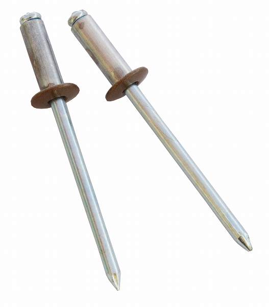  SK 顼֥饤ɥ٥å  (5-5) 1å(20) SK-545LB