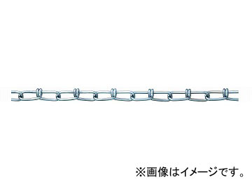 ˥å/NISSA CHAIN ӥ Ŵ ˥ 30m IV20 JAN4968462053216