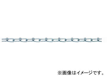 ˥å/NISSA CHAIN ӥ Ŵ ˥ 30m IV16 JAN4968462053414